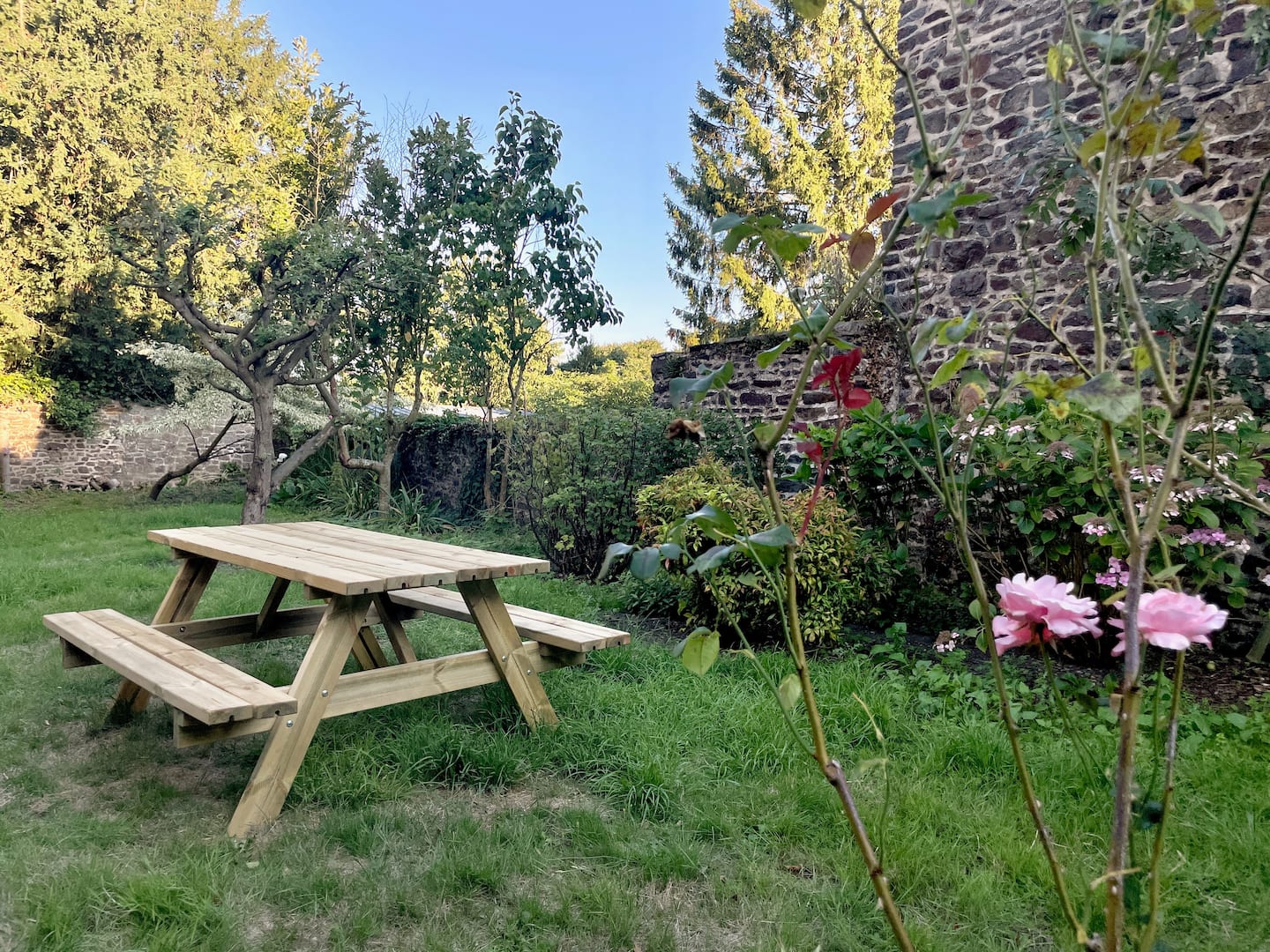 Les Rosiers à Fougères — miniature 5